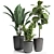 21 Indoor Plant: 3Dmax Model (Vray & Corona) 3D model small image 1