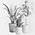 21 Indoor Plant: 3Dmax Model (Vray & Corona) 3D model small image 4