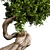 Elegant Bonsai Plant: 140cm Diameter, 210cm Height 3D model small image 2