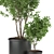 Premium Plant Collection Vol. 93 3D model small image 2