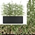 Premium Plant Collection: Vol. 95 3D model small image 1