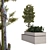 Evergreen Tree Box Set 3D model small image 5