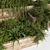 Outdoor Deluxe Plant Box Set 3D model small image 3