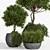 Indoor/Outdoor Decor Accent: Outdoor Plants Tree 04 3D model small image 2