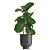 Exotic Plant Collection in Black Pots 3D model small image 3