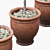 Round Boxwood Bushes on Stem - Set of 3 3D model small image 2