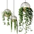 Title: Atelier Schroeter Hanging Plant Luminaires 3D model small image 1