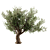 Stunning 3D Tree Model 3D model small image 2