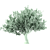 Stunning 3D Tree Model 3D model small image 4