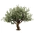 Stunning 3D Tree Model 3D model small image 6