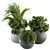 Greenery Delight - Indoor Plant Set 3D model small image 1