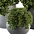 Greenery Delight - Indoor Plant Set 3D model small image 2