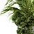 Greenery Delight - Indoor Plant Set 3D model small image 4