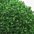 Square Boxwood Bush in White Pot | 565095 Polygons 3D model small image 3