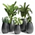 Title: 23 Indoor Plant | High-Quality 3D Model 3D model small image 1