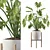 Exquisite Philodendron Xanadu: Plant Collection 094 3D model small image 1