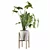 Exquisite Philodendron Xanadu: Plant Collection 094 3D model small image 4