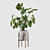 Exquisite Philodendron Xanadu: Plant Collection 094 3D model small image 5