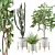 Exquisite Greenery: Ficus, Fern & Cactus 3D model small image 1