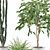 Exquisite Greenery: Ficus, Fern & Cactus 3D model small image 3