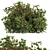 Blooming Berry Bush Sets Beauty 3D model small image 1