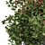 Blooming Berry Bush Sets Beauty 3D model small image 3