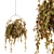 Indoor Hanging Pot Set 168 3D model small image 1