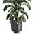 Tropical Plant Paradise: Exotic Banana Palm, Ravenala & Strelitzia 3D model small image 2