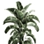 Tropical Plant Paradise: Exotic Banana Palm, Ravenala & Strelitzia 3D model small image 3