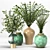 Premium Plant Collection: 15 Exquisite Models 3D model small image 1