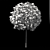 Alphens Globe Sycamore | Platanus acerifolia 3D model small image 4