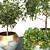 Versatile Plant Collection Pack 3D model small image 3