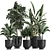 Tropical Plant Collection: Exotic, Indoor & Outdoor, in Vig Planter L Set 2pcs 3D model small image 1