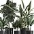 Tropical Plant Collection: Exotic, Indoor & Outdoor, in Vig Planter L Set 2pcs 3D model small image 2