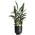 Tropical Plant Collection: Exotic, Indoor & Outdoor, in Vig Planter L Set 2pcs 3D model small image 4