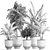 Tropical Plant Collection: Exotic, Indoor & Outdoor, in Vig Planter L Set 2pcs 3D model small image 5