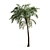 Exotic Palm Tree Decor 3D model small image 2