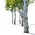 Majestic Oak Tree: Vray Material Library, 14m Height 3D model small image 4