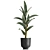 Exotic Plant Collection: Strelitzia & Alpinia Zero 3D model small image 2