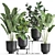 Tropical Plant Collection in Stylish Black Pots 3D model small image 1