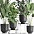 Tropical Plant Collection in Stylish Black Pots 3D model small image 4