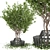 The Greenery Collection Vol. 106 3D model small image 1