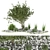 Deluxe Plant Collection Vol. 110 3D model small image 1