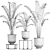 Tropical Plant Collection: Banana Palm, Ravenala, Strelitzia 3D model small image 5
