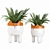  Whimsical Ceramic Fox Plant Pot 3D model small image 5