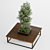 Modern Bench with Plant Decoration 3D model small image 3