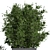 Concrete Box Outdoor Plant Tree 3D model small image 4