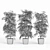 Elegant Trio of Ficus Alii 3D model small image 4