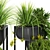 Ultimate Indoor Plant Set 3D model small image 4