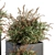 Lush Photinia: Indoor Plant Set 3D model small image 3